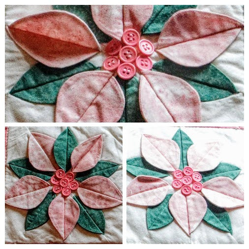 Poinsettia