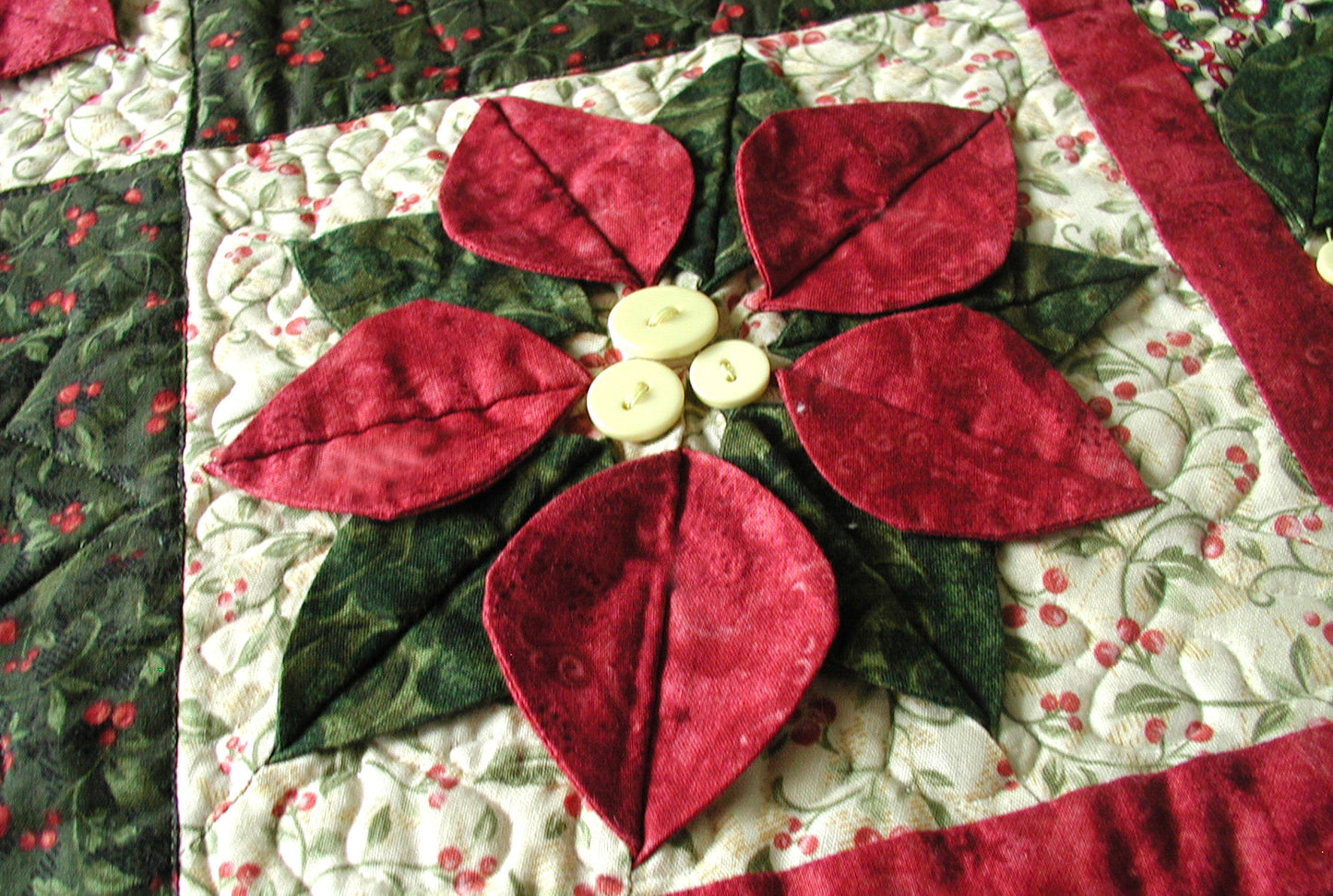 Poinsettia