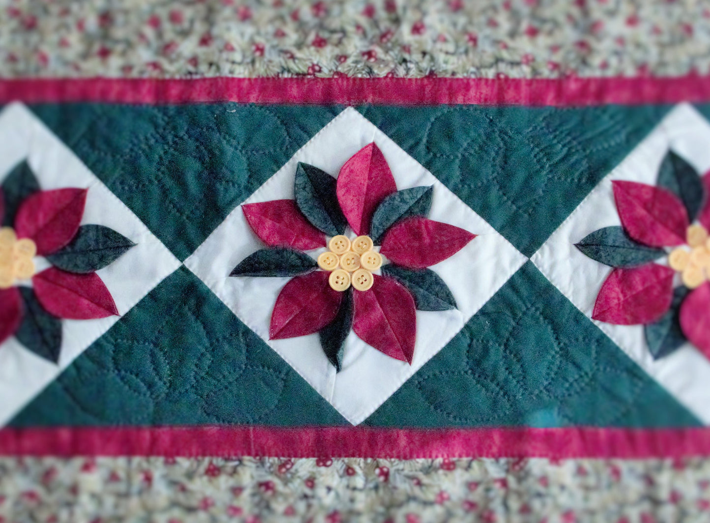 Poinsettia