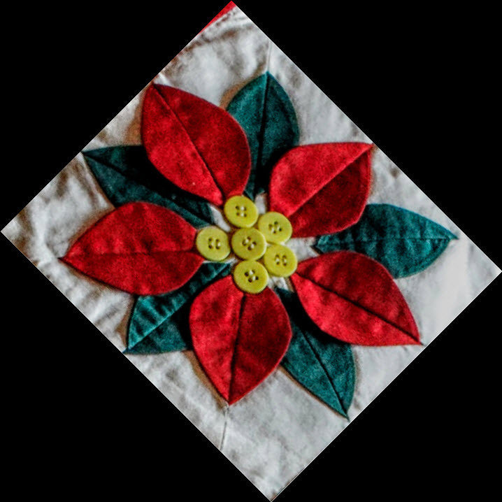 Poinsettia